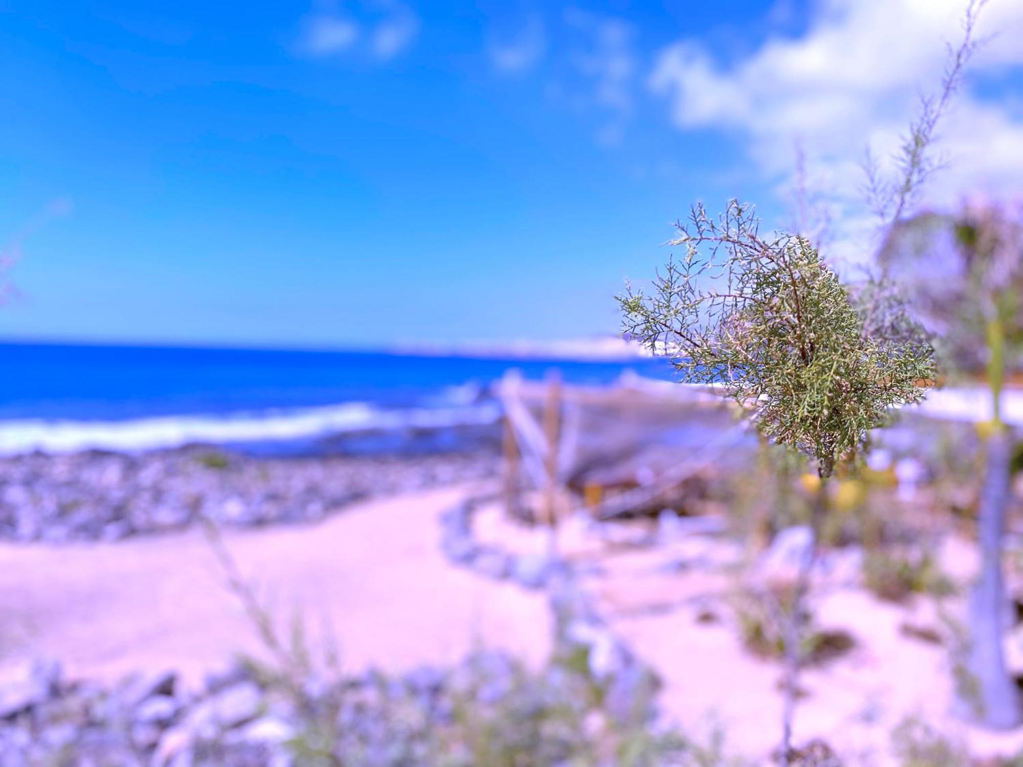 Tropicalidays Olas Apartment *